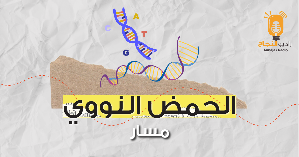الحمض النووي